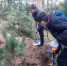 Поисковики из брянской Жуковки обнаружили места захоронения - Газета Мглинские Вести