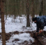 Брянские поисковики нашли останки неизвестного солдата - Газета Мглинские Вести