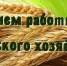С профессиональным праздником! - Газета Мглинские Вести