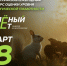 Брянцев приглашают принять участие в экологическом тестировании «Зелёный Зачёт» - Газета Мглинские Вести