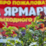Во всех районах города Брянска продолжают работу ярмарки выходного дня - Газета Мглинские Вести