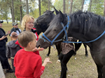 Дети и взрослые из семей СВО освоили верховую езду в Карачевском районе